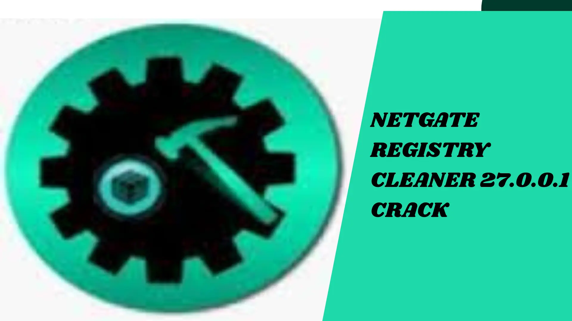 Netgate regitery cleaner 27.0.0.1 crack